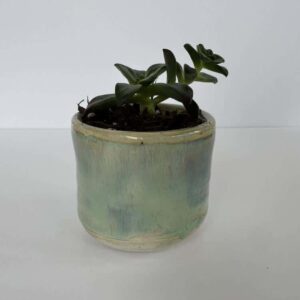 Handmade ceramic planter with succulent, light green glazed pottery plant pot